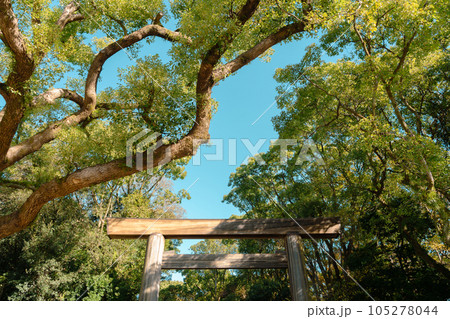 Atsuta Shrine Torii gate with green forest in Nagoya, Japan 105278044