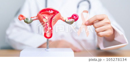 Doctor holding Peach ribbon with Uterus and Ovaries model for September Uterine Cancer Awareness month. Endometriosis, Hysterectomy, Uterine fibroids, Reproductive, Healthcare and World cancer day 105278134