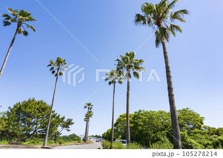 【熊本県】天草パールラインと天草松島の景観 105278214