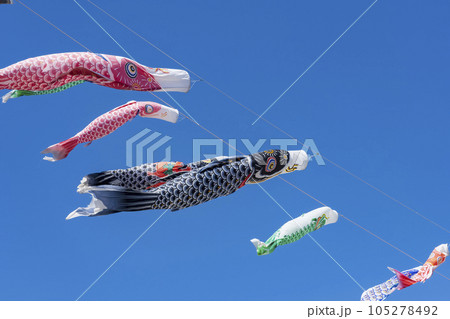 青空を泳ぐ鯉のぼり 青空を泳ぐ鯉のぼり 105278492