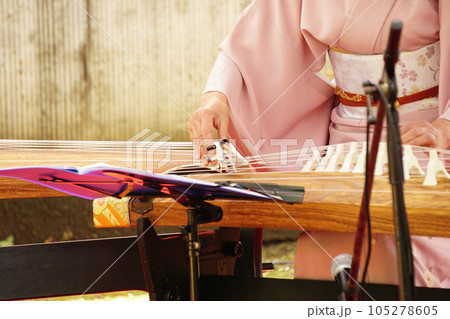 和服女性　琴　 105278605