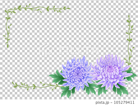 Chrysanthemum decorative frame Chrysanthemum decorative frame 105279411