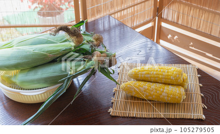 茹でたトウモロコシと皮付きのトウモロコシ 105279505