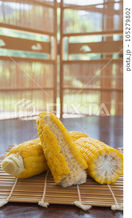 食べかけのトウモロコシ|とうもろこしををきれいに食べるイメージ 食べかけのトウモロコシ|とうもろこしををきれいに食べるイメージ 105279802