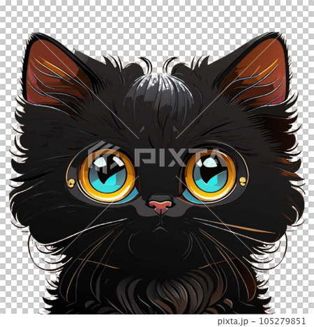 Black cat with big eyes, long fur, cute Black cat with big eyes, long fur, cute 105279851