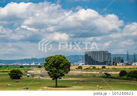 淀川河川公園枚方地区夏景色 105280621