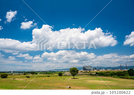 淀川河川公園枚方地区夏景色 105280622
