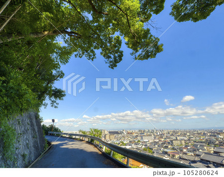 新緑の木が覆う山道と街の風景 105280624
