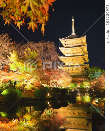 秋の東寺（ライトアップ・京都市・縦構図） 105280978