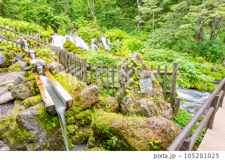 道の駅名水の郷きょうごく ふきだし公園 道の駅名水の郷きょうごく ふきだし公園 105281025