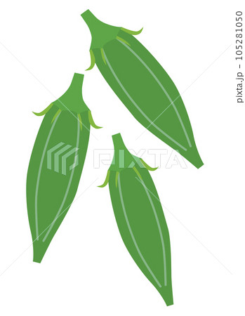 シンプルなオクラ 105281050