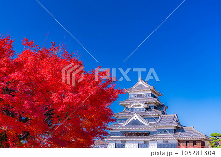 【秋素材】紅葉と松本城【長野県】 【秋素材】紅葉と松本城【長野県】 105281304