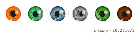 Closeup view of human eye pupils with different colors isolated on white background. Espionage, curiosity, spying, surveillance concept. Vector realistic illustration 105281973