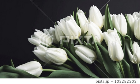 AIアート　チューリップのフレーム 105282505