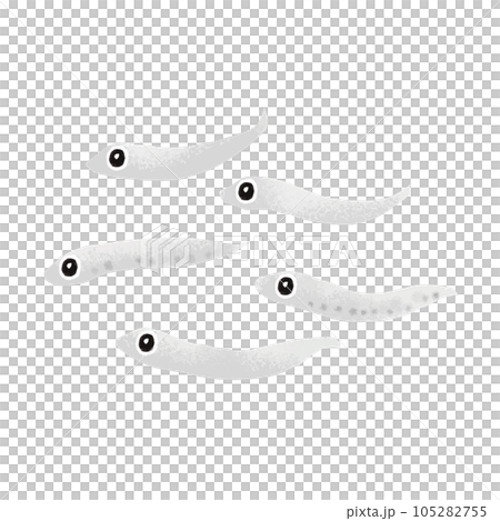 Shirasu 插畫素材 105282755