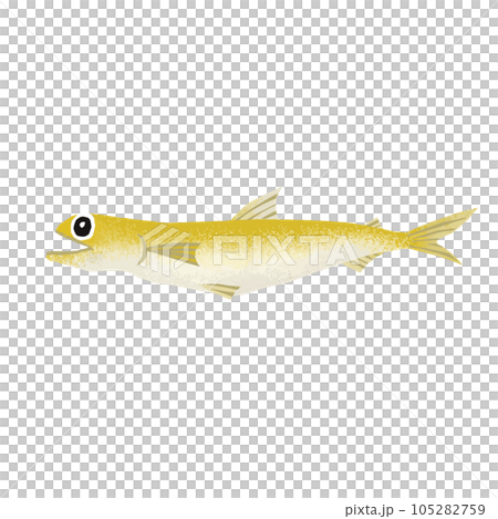 エソのイラスト素材 105282759