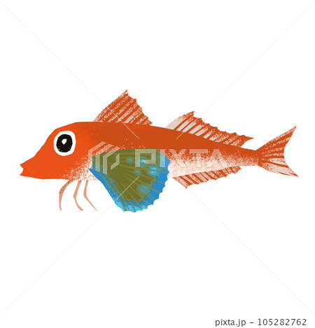 ホウボウのイラスト素材 ホウボウのイラスト素材 105282762
