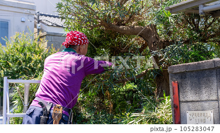 庭木の剪定 105283047
