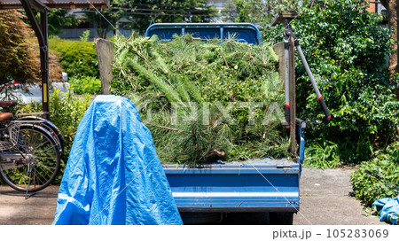 庭木の剪定 105283069