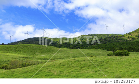 静岡県稲取細野高原の初夏 105283177