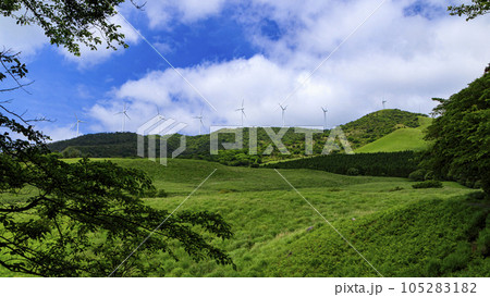 静岡県稲取細野高原の初夏 静岡県稲取細野高原の初夏 105283182