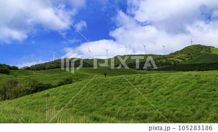 静岡県稲取細野高原の初夏 静岡県稲取細野高原の初夏 105283186