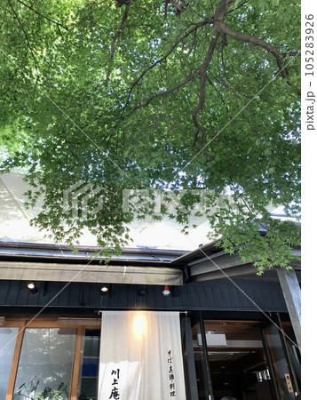 川上庵の外観 川上庵の外観 105283926