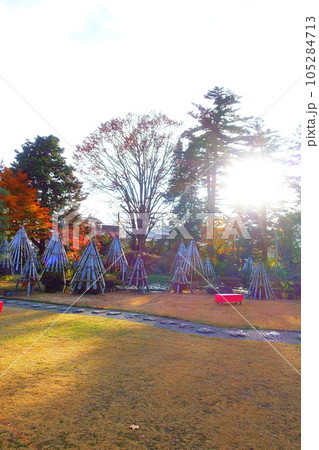 上杉伯爵邸 雪囲い 冬囲い 雪 上杉伯爵邸 雪囲い 冬囲い 雪 105284713