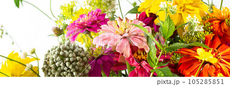Summer bouquet of seasonal flowers Summer bouquet of seasonal flowers 105285851