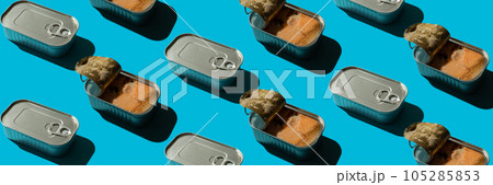 Banner with a pattern of salmon in a tin can Banner with a pattern of salmon in a tin can 105285853