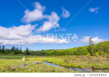 神仙沼　遊歩道　木道　女性　トレッキング 105285859