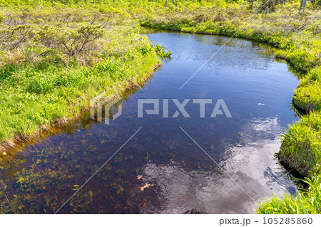 神仙沼湿原 105285860