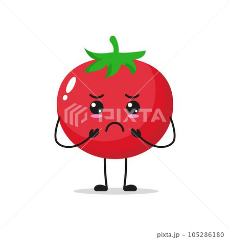 Single Sad Tomato Vegetable Vector Illustration Single Sad Tomato Vegetable Vector Illustration 105286180