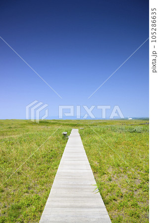 草原と青空のバックグラウンド （北海道 石狩のはまなすの丘公園） 105286635