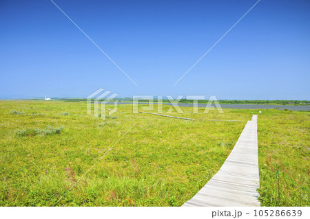 草原と青空のバックグラウンド （北海道 石狩のはまなすの丘公園） 105286639