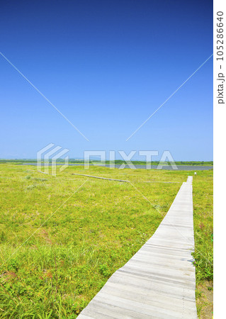 草原と青空のバックグラウンド (北海道 石狩のはまなすの丘公園) 草原と青空のバックグラウンド (北海道 石狩のはまなすの丘公園) 105286640