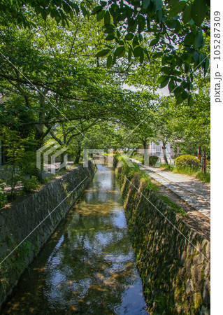 京都・緑豊かな夏の哲学の道 105287309