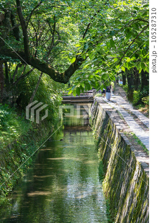 京都・夏の哲学の道 105287310