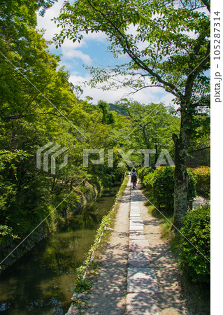 京都・夏の哲学の道 105287314