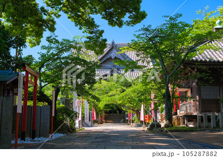 和歌山市 紀三井寺 本堂 和歌山市 紀三井寺 本堂 105287882