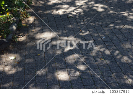 【真夏のイメージ】酷暑の歩道と木々、日陰などの様子 【真夏のイメージ】酷暑の歩道と木々、日陰などの様子 105287913