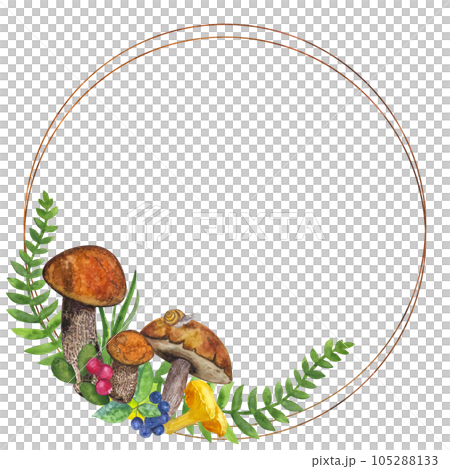 Round frame botanical wreath: edible mushrooms, leaves and berries, fern, snail, grass, cranberry, mountain ash. Hand draw watercolor illustration isolated on white background 105288133