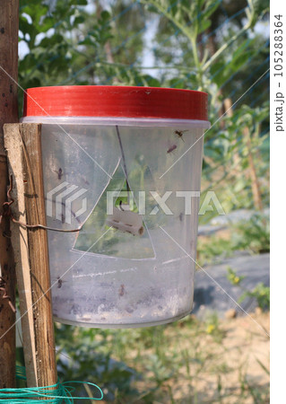 fly trap plastic bottle for insects hanging fly trap plastic bottle for insects hanging 105288364