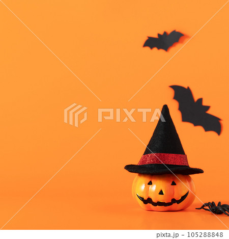 Halloween background with decorations and space for text Halloween background with decorations and space for text 105288848