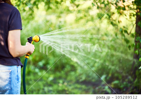 Cropped image of young woman watering flowers and plants in garden with hose in sunny blooming backyard Cropped image of young woman watering flowers and plants in garden with hose in sunny blooming backyard 105289512