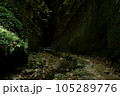 洞窟へ続く小川 105289776