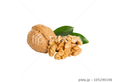 Roasted Walnut isolated on white background. Walnut is snack or raw of cook. Healthy food concept Roasted Walnut isolated on white background. Walnut is snack or raw of cook. Healthy food concept 105290198
