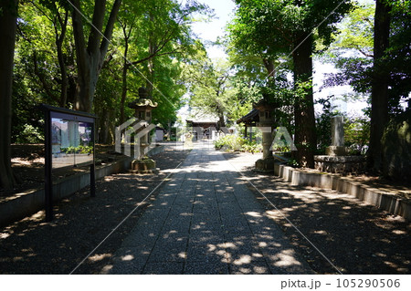篠原八幡神社 参道 ～横浜市港北区～ 105290506