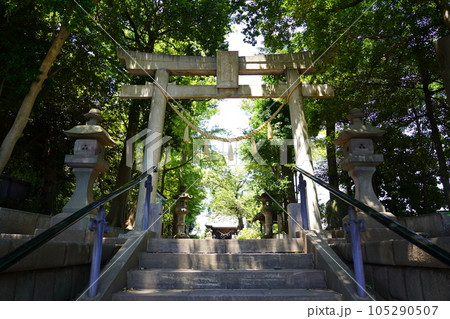 篠原八幡神社 鳥居 ~横浜市港北区~ 篠原八幡神社 鳥居 ~横浜市港北区~ 105290507
