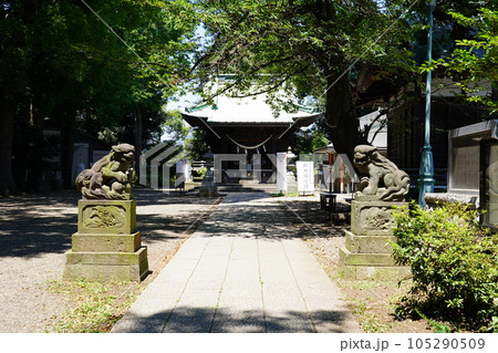 篠原八幡神社 拝殿 ~横浜市港北区~ 篠原八幡神社 拝殿 ~横浜市港北区~ 105290509